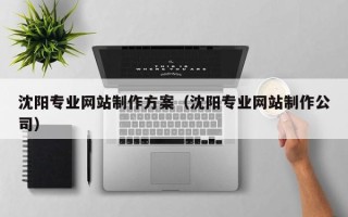 温岭沈阳专业网站制作方案（沈阳专业网站制作公司）